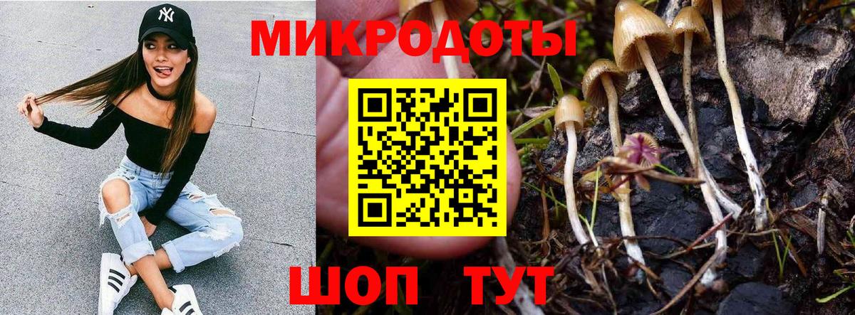 Псилоцибиновые грибы Psilocybe Чебаркуль