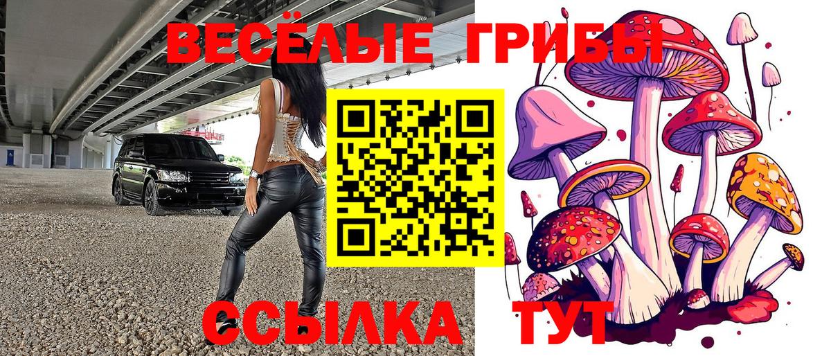 Чебаркуль  Галлюциногенные грибы ЛСД  Вход с VPN 